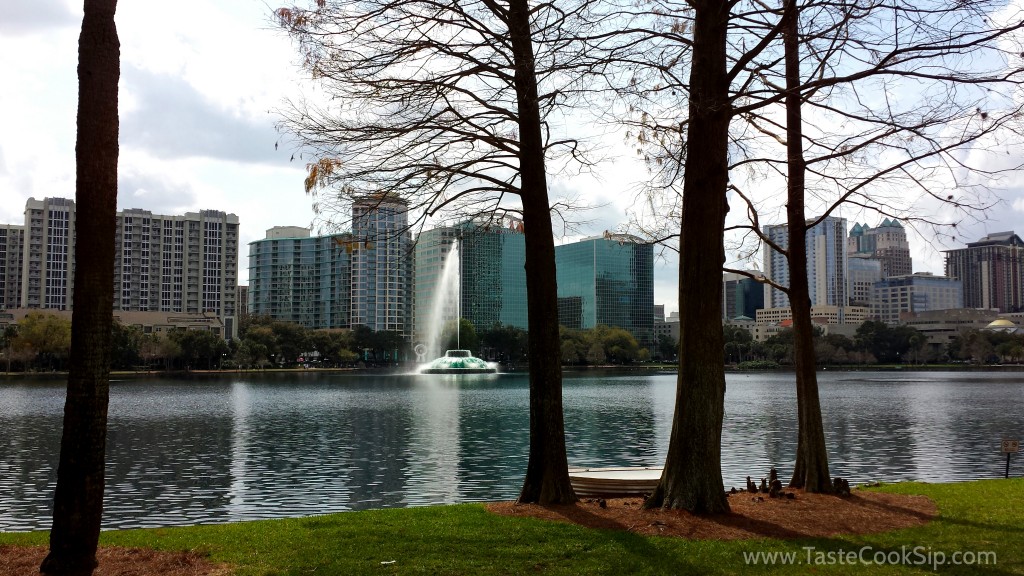 Sunny and beautiful at the Downtown Food & Wine Fest, in the heart of downtown Orlando.